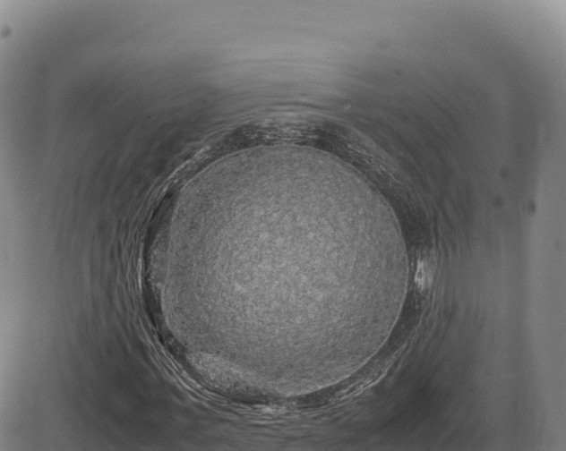 X0000083640771200702201407