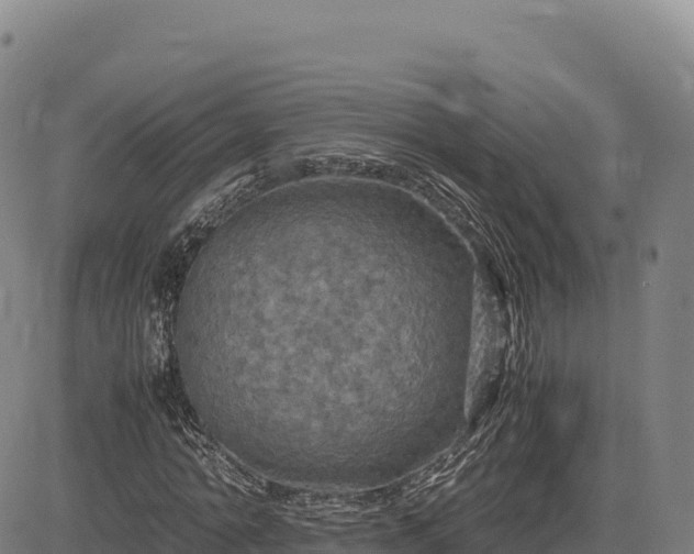 X0000083640774200702201407