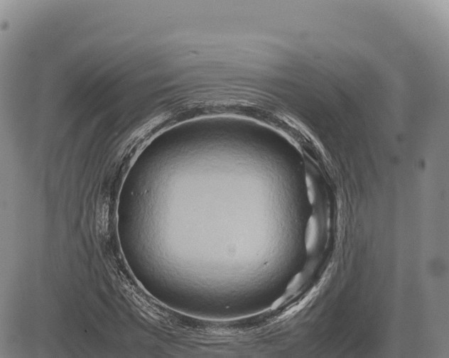 X0000083640777200702201407