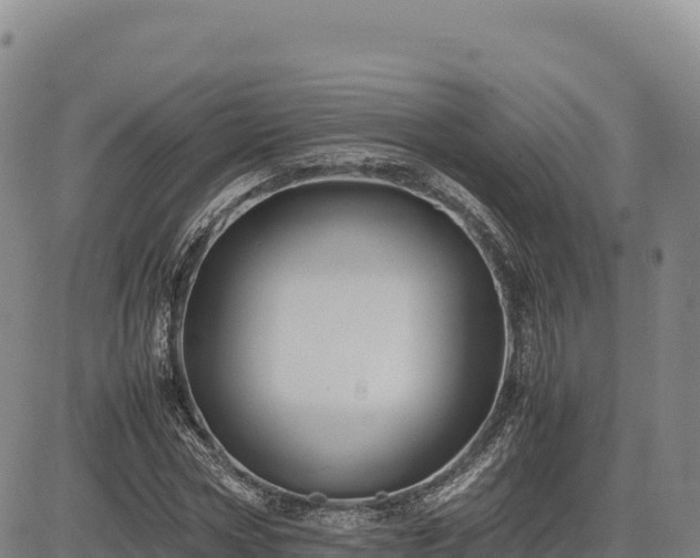 X0000083640778200702201407