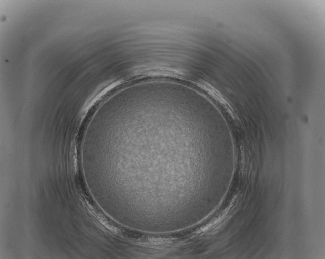 X0000083640782200702201407