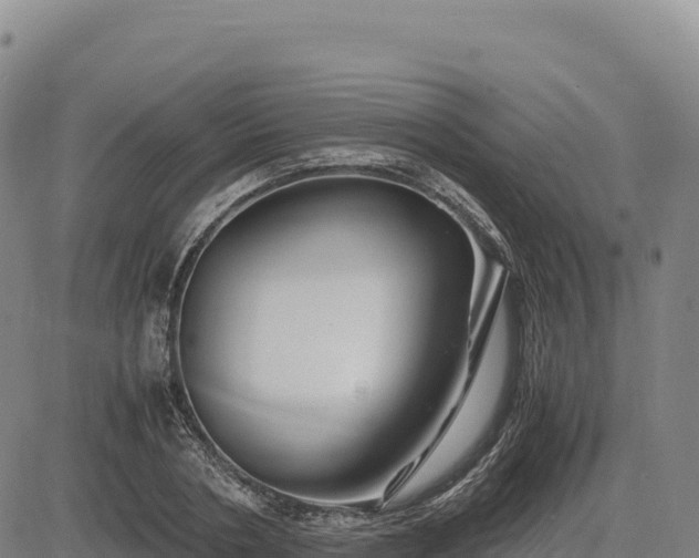 X0000083640786200702201407