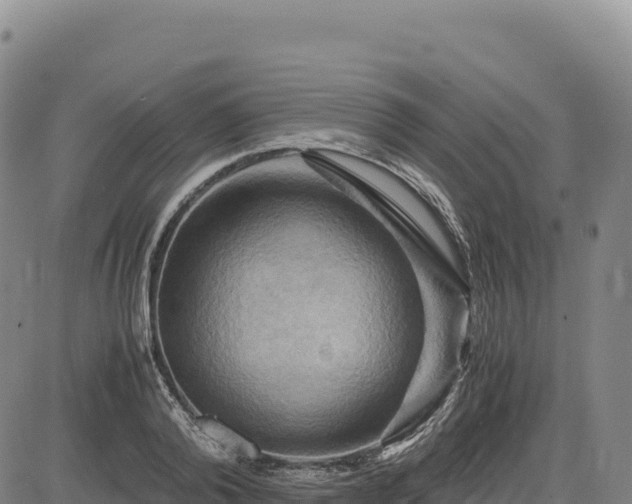 X0000083640792200702201407