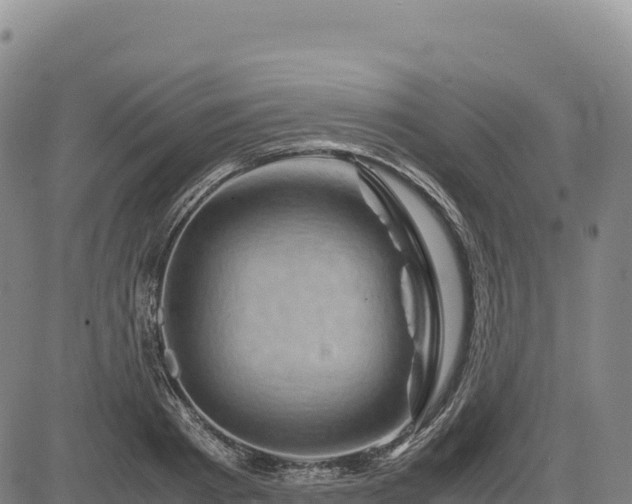 X0000083640793200702201407