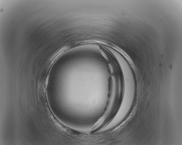 X0000083640809200702201407