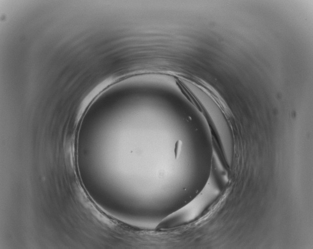 X0000083640812200702201407