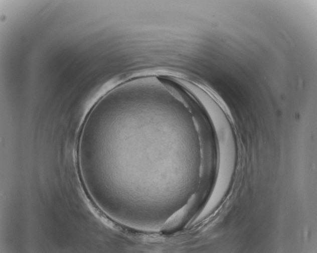 X0000083640813200702201407