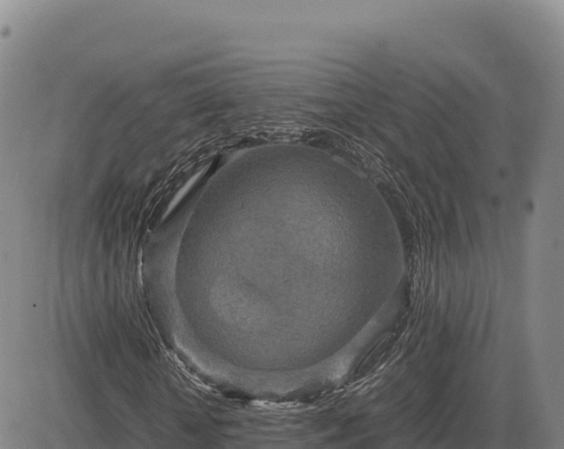 X0000083640818200702201406