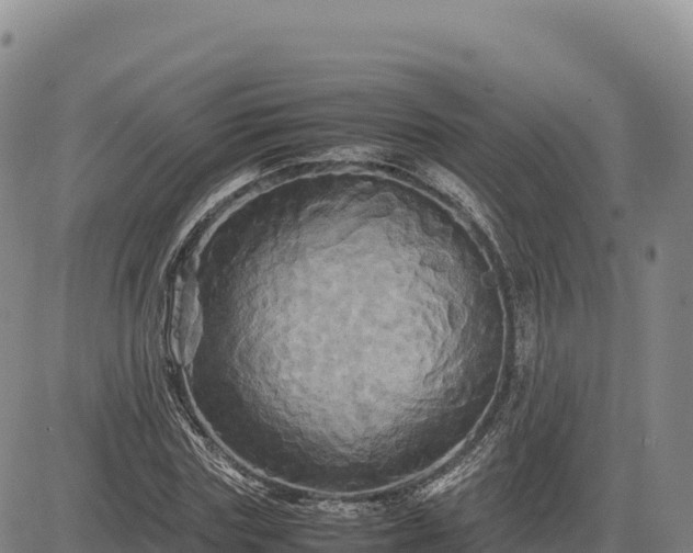 X0000083640827200702201406