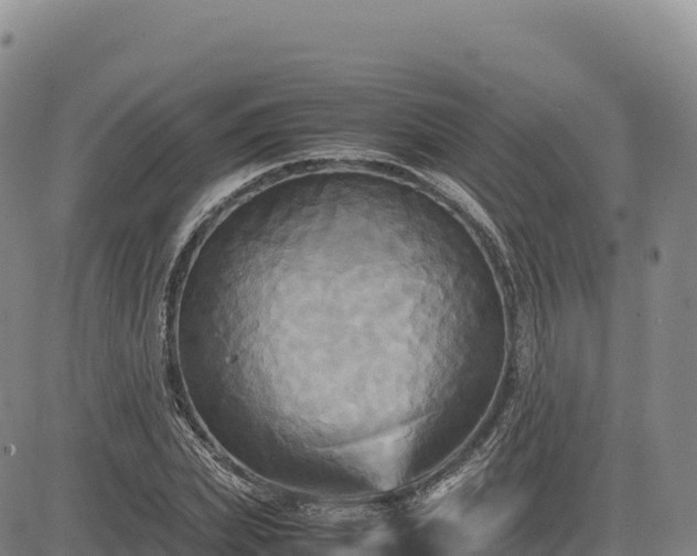 X0000083640831200702201406
