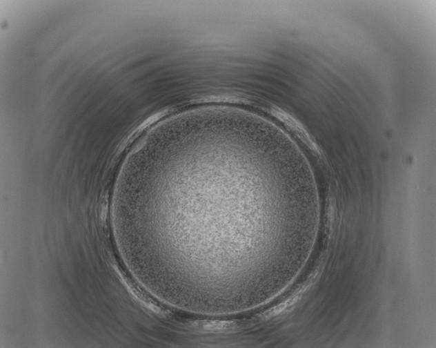 X0000083640841200702201406