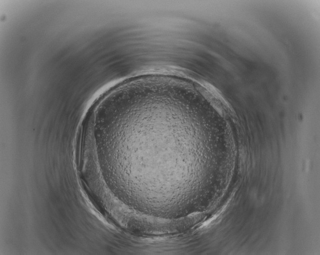 X0000083640846200702201406