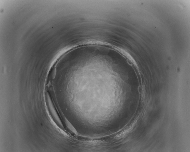 X0000083640847200702201406