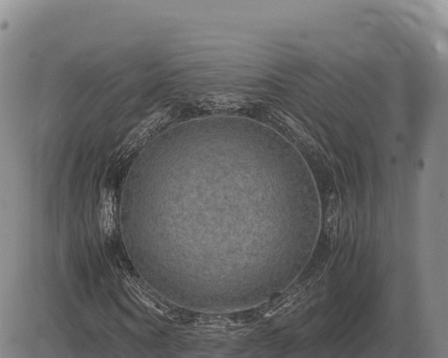 X0000083640866200702201406