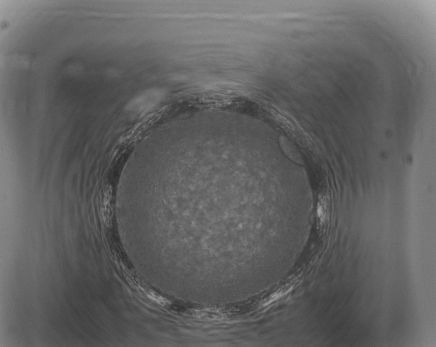 X0000083640867200702201406