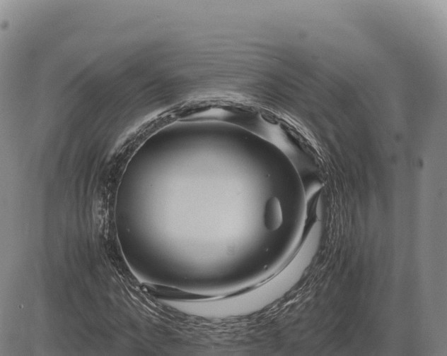 X0000083640872200702201406