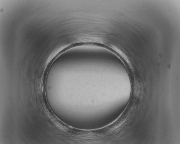 X0000083640885200702201405