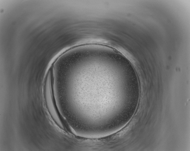 X0000083640912200702201405