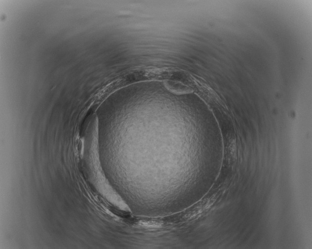 X0000083640914200702201404