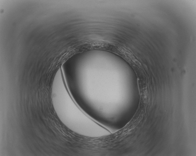 X0000083640916200702201404