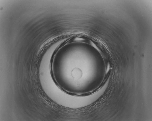X0000083640920200702201404