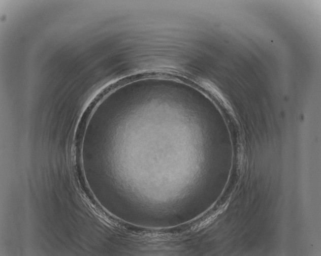 X0000083640924200702201404