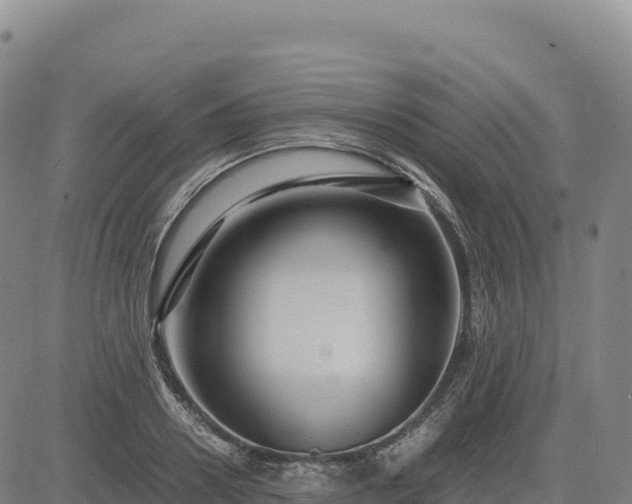 X0000083640938200702201405