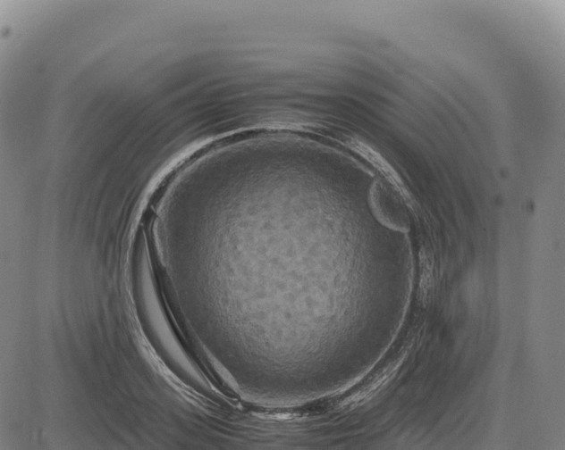 X0000083640939200702201405
