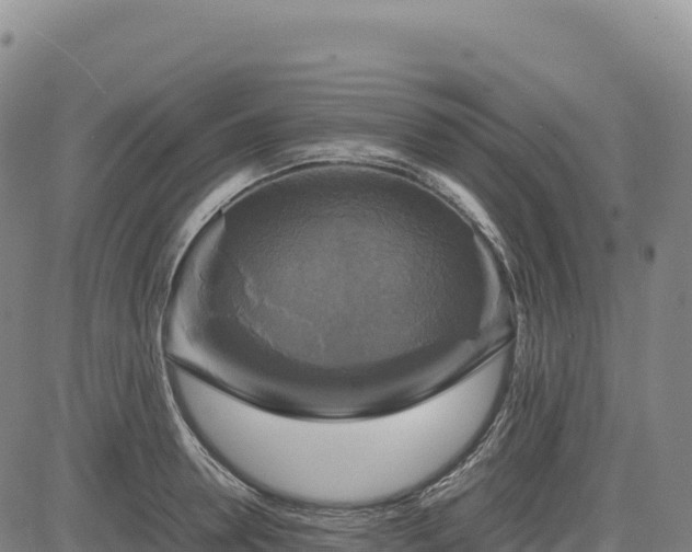X0000083640946200702201405