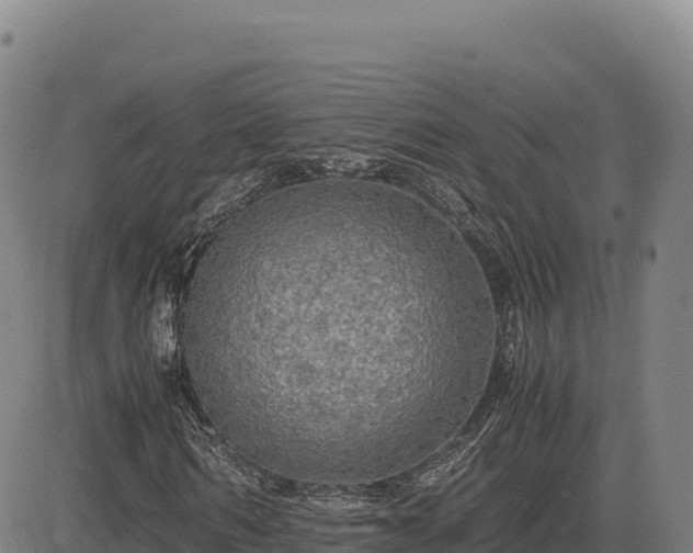 X0000083640962200702201404