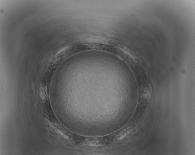 X0000083640965200702201404