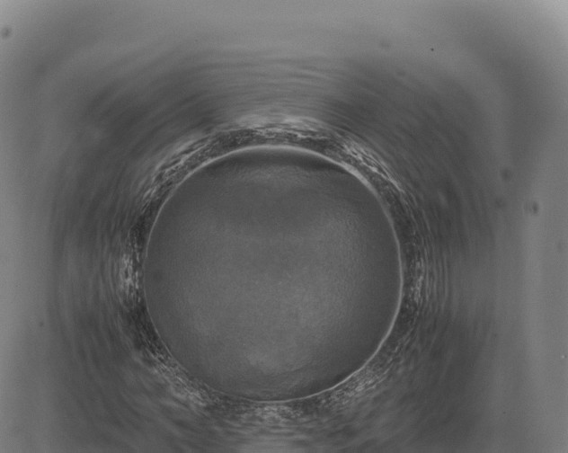 X0000083640966200702201404