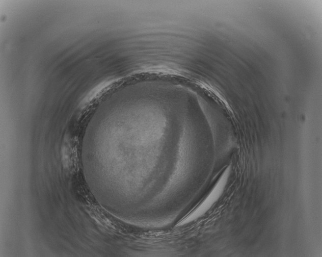 X0000083640968200702201404