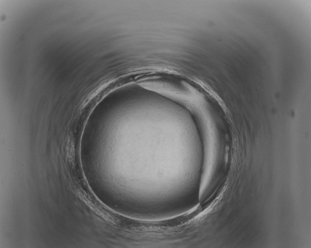 X0000083640969200702201404