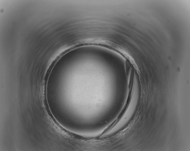 X0000083640992200702201404