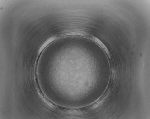 X0000083641002200702201403