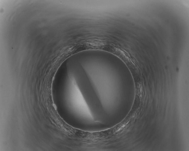 X0000083641009200702201403