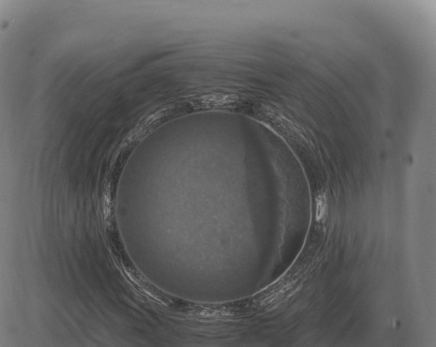 X0000083641011200702201403