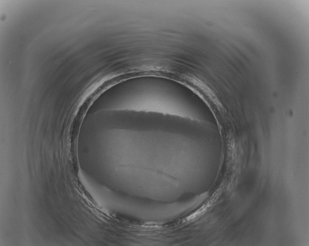 X0000083641023200702201403