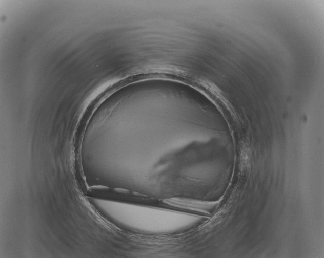 X0000083641024200702201403