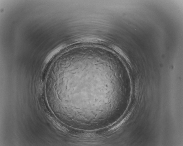 X0000083641067200702201402
