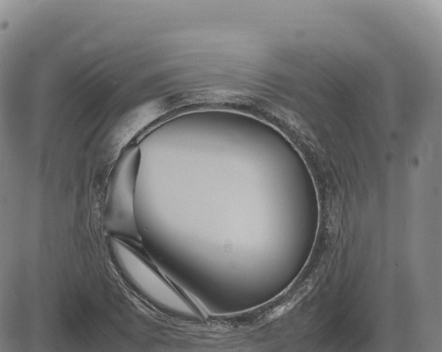 X0000083641073200702201402