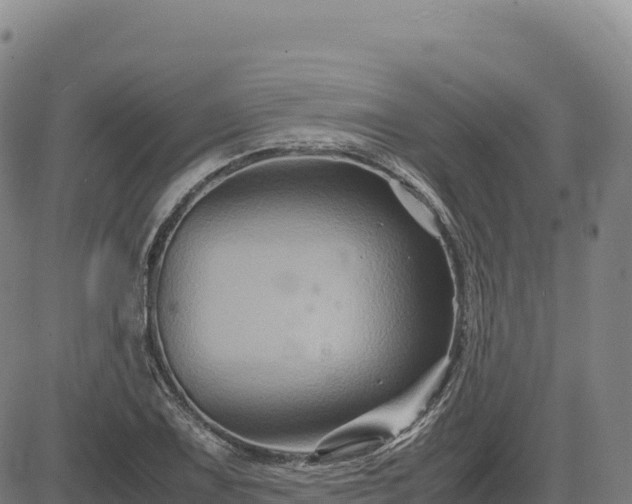 X0000083641075200702201402