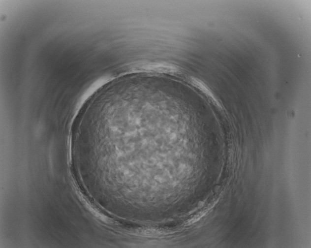 X0000083641079200702201402