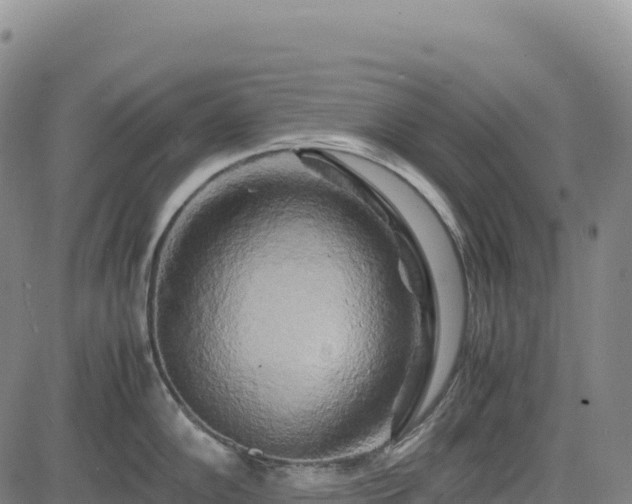 X0000083641102200702201401