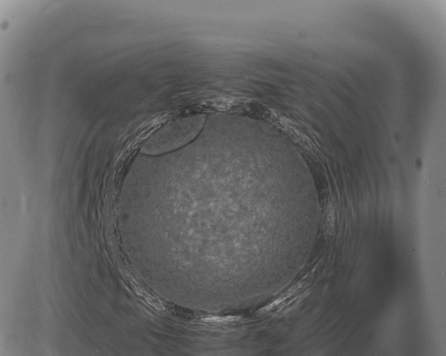 X0000083641105200702201401