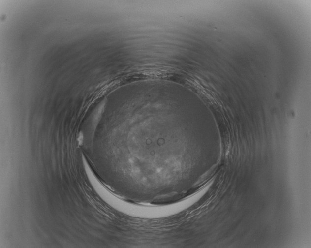 X0000083641106200702201401