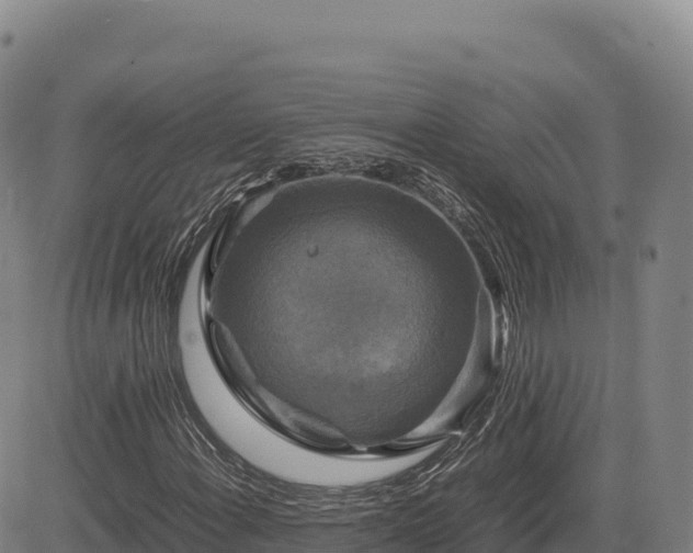 X0000083641108200702201401