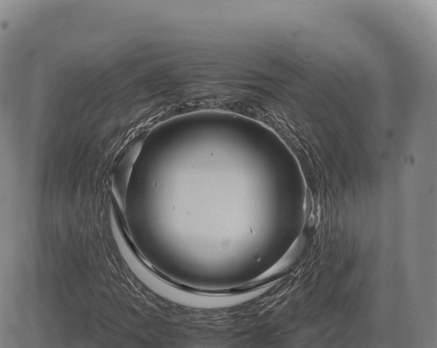 X0000083641109200702201401