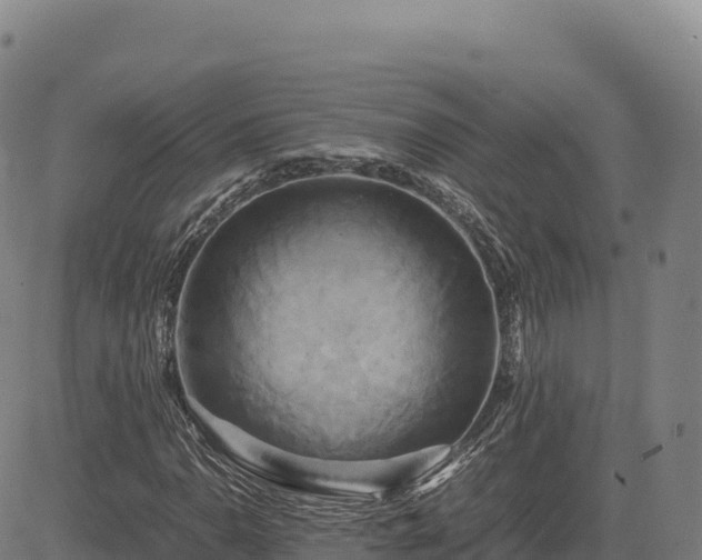 X0000083641110200702201401